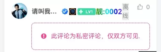 私密评论插件-嗨斯链−云上开发系统